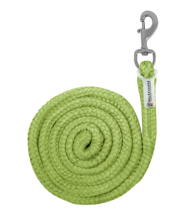 Uwiąz WALDHAUSEN "Plus Snap Hook" lime green