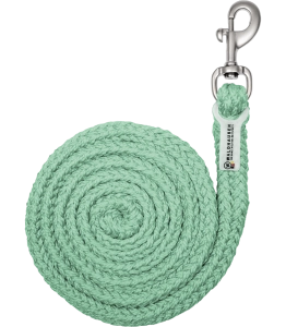 Uwiąz WALDHAUSEN "Plus Snap Hook" pistachio