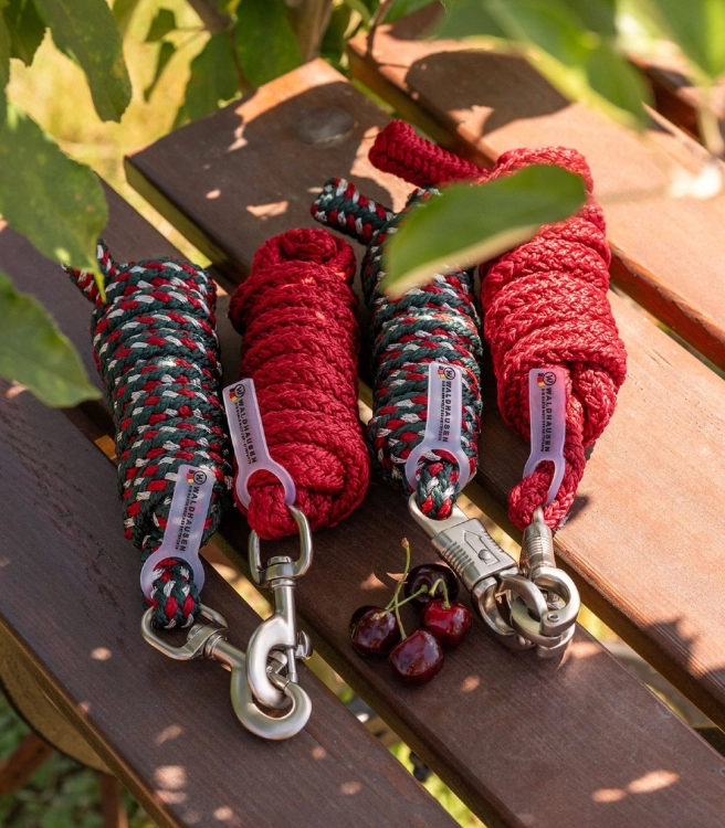 Uwiaz-WALDHAUSEN-Plus-Panic-Hook-cherry-red-green-silver-04