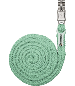 Uwiąz WALDHAUSEN "Plus Panic Hook" pistachio