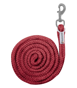 Uwiąz WALDHAUSEN "Plus Snap Hook" cherry red