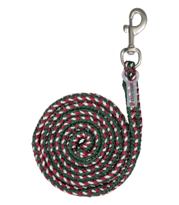 Uwiąz WALDHAUSEN "Plus Snap Hook" cherry red/green/silver