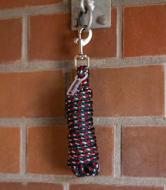 Uwiaz-WALDHAUSEN-Plus-Snap-Hook-cherry-red-green-silver-03