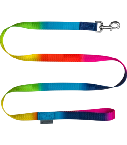 Uwiąz WALDHAUSEN "Rainbow"