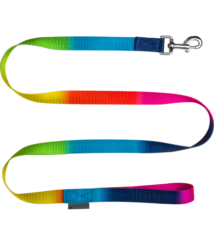 Uwiaz-WALDHAUSEN-Rainbow-01