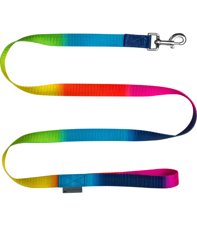Uwiaz-WALDHAUSEN-Rainbow-01