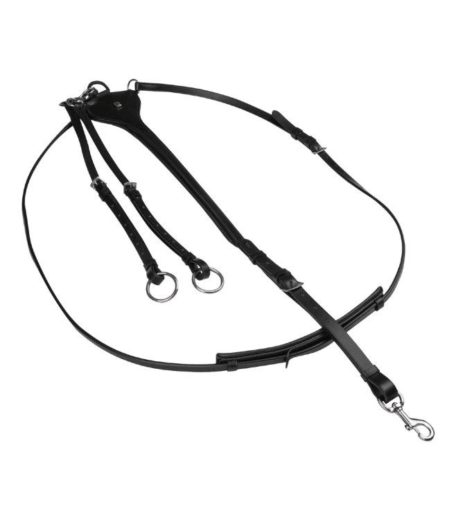 Wytok-WALDHAUSEN-X-Line-Professional-black-01