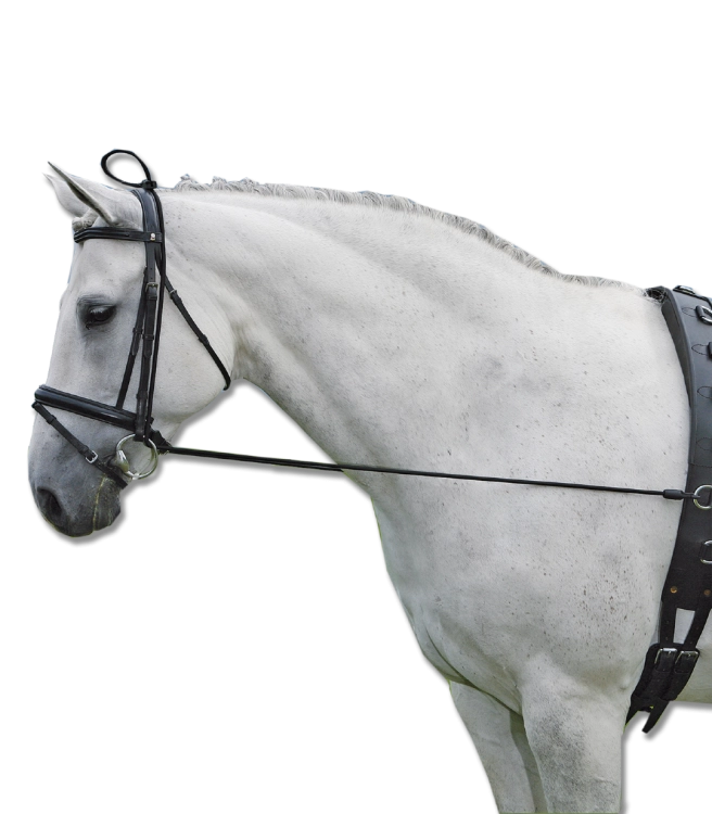 Czambon-gumowy-WALDHAUSEN-Elastic-Neck-01