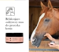 Balsam-do-chrap-Lullalove-Relaksująco-odzywczy-mus-do-pyszczka-koni-100ml-05