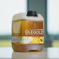 hippovet-olegold.png