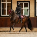 Kurtka-zimowa-QHP-Rayah-AW2026-09