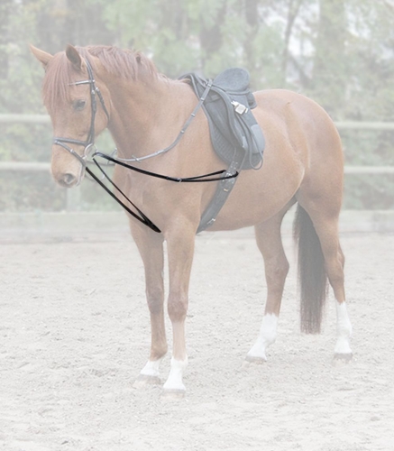 Wypinacze-trojkatne-WALDHAUSEN-X-Line-Draw-Reins-01