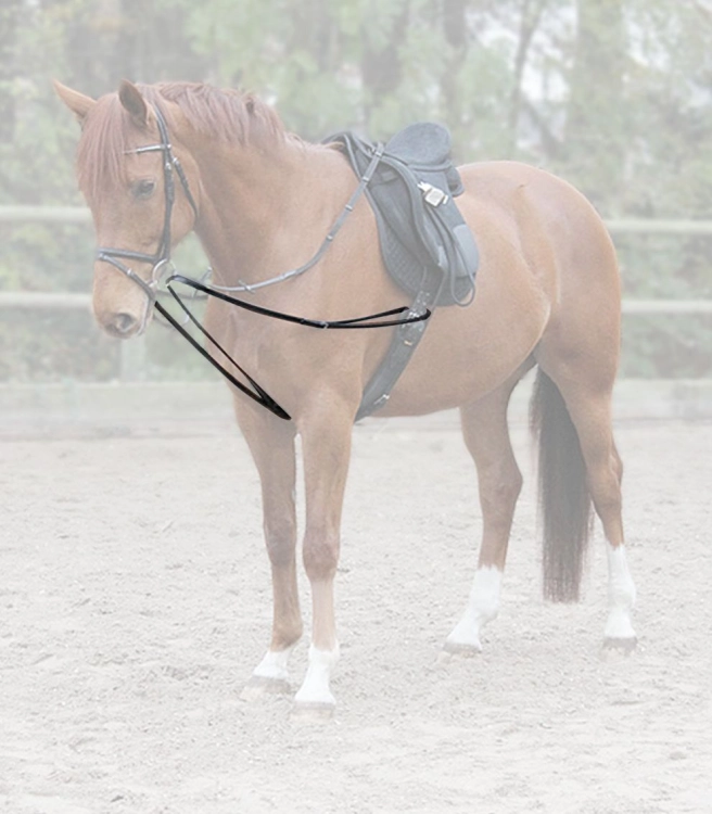 Wypinacze-trojkatne-WALDHAUSEN-X-Line-Draw-Reins-01