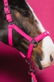 kantar-eskadron-dynamic-softshell-double-pin-lipstick.jpg