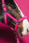 kantar-eskadron-dynamic-softshell-double-pin-lipstick.jpg