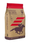 saracen-kentucky-balancer.jpg