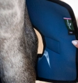 Ochraniacze-na-staw-skokowy-konia-HORSEWARE-Ionic-Hock-Boots-07