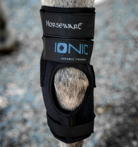 Ochraniacze-na-staw-skokowy-konia-HORSEWARE-Ionic-Hock-Boots-02