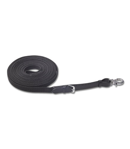 Lonza-WALDHAUSEN-LPO-01