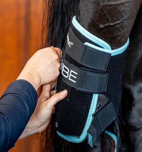 Ochraniacze-chlodzaco-wibrujace-na-staw-skokowy-konia-HORSEWARE-Ice-Vibe-Hock-Wraps-02