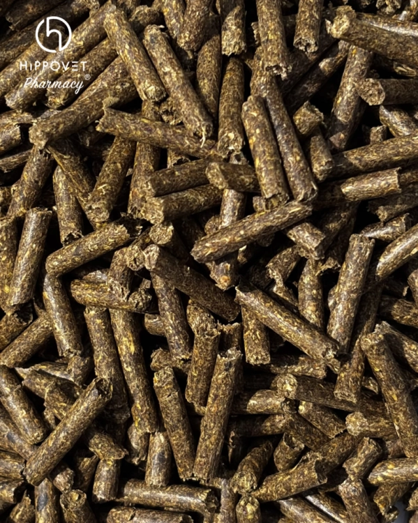 Dodatek-parabiotyczno-prebiotyczny-HippoVet-Pharmacy-Biocell-Senior-Pellet-1kg-02