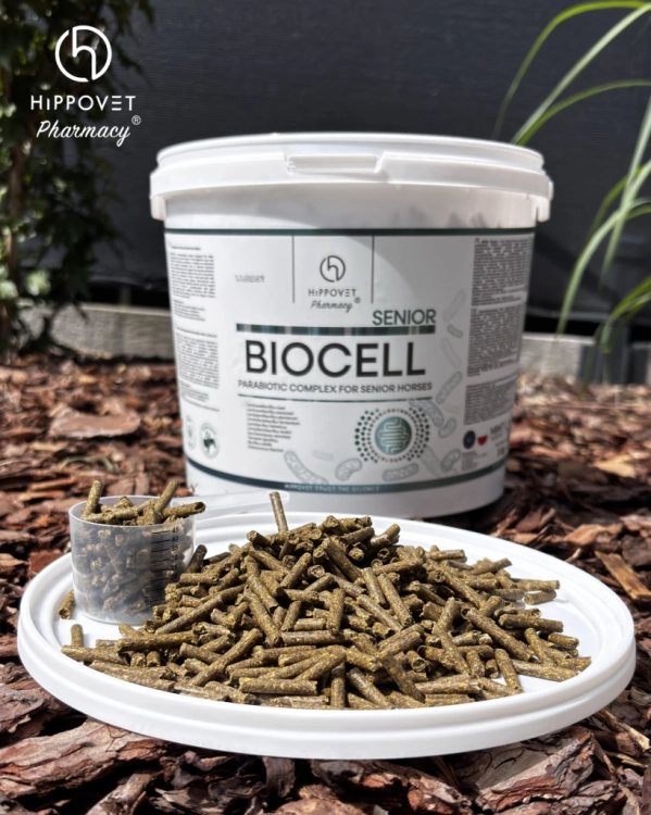 Dodatek-parabiotyczno-prebiotyczny-HippoVet-Pharmacy-Biocell-Senior-Pellet-1kg-02
