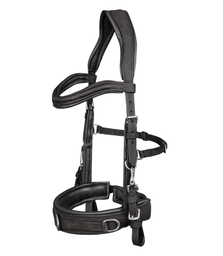 Kawecan-WALDHAUSEN-Anatomic-black-01