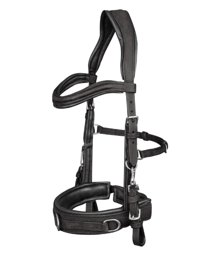 Kawecan-WALDHAUSEN-Anatomic-black-01