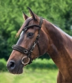 Kawecan-WALDHAUSEN-Anatomic-black-02
