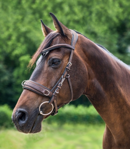 Kawecan-WALDHAUSEN-Anatomic-brown-02