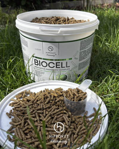 Dodatek-parabiotyczno-prebiotyczny-HippoVet-Pharmacy-Biocell-Pellet-3kg