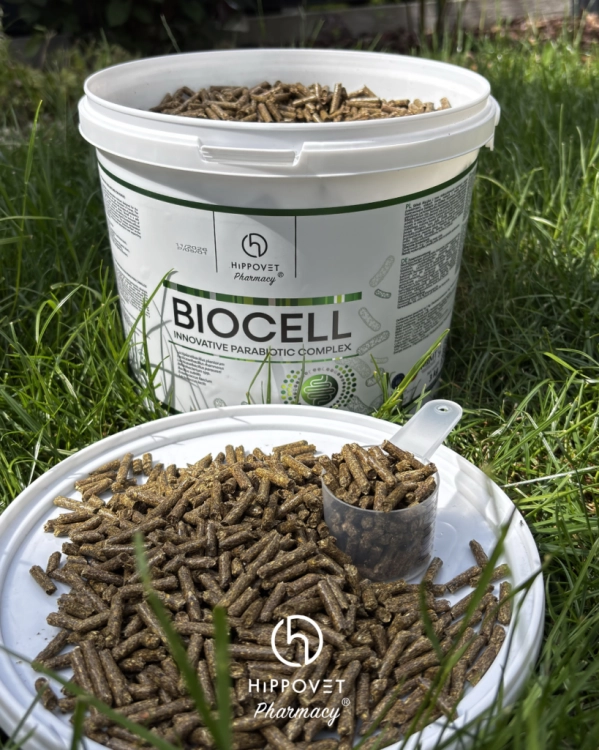 Dodatek-parabiotyczno-prebiotyczny-HippoVet-Pharmacy-Biocell-Pellet-3kg