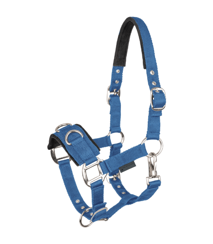 Kawecan-WALDHAUSEN-Economic-azure-blue-01