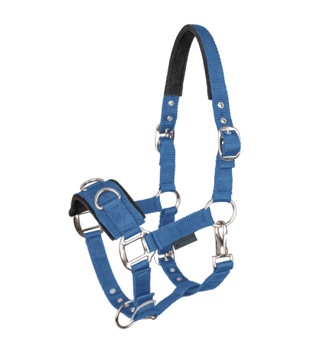 Kawecan-WALDHAUSEN-Economic-azure-blue-01