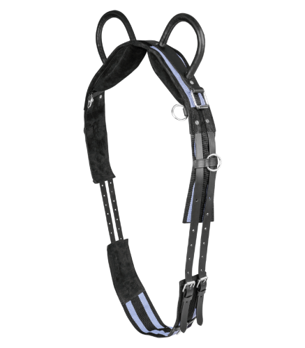 Pas-do-woltyzerki-WALDHAUSEN-Surcingle-black-grey-01