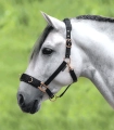 Kawecan-WALDHAUSEN-Rose-02