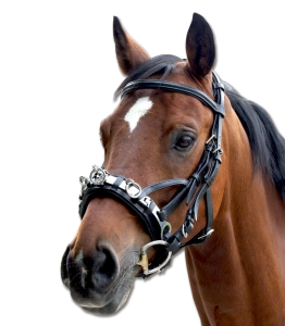 Kawecan WALDHAUSEN "Leather" 