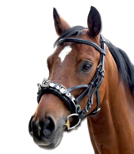 Kawecan-WALDHAUSEN-Leather-01