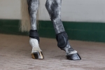 Ochraniacze-skokowe-tylne-Eskadron-Air-Flex-Sport-F-czarne-06