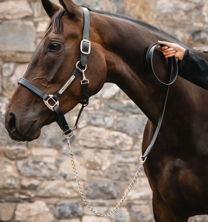 Uwiaz-z-lancuszkiem-HORSEWARE-Signature-czarny