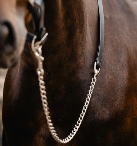 Uwiaz-z-lancuszkiem-HORSEWARE-Signature-czarny
