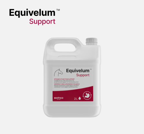 Dodatek-na-wrzody-Biovico-Equivelum-Support-2l