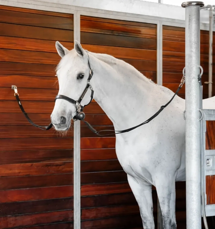 Uwiaz-stajenny-HORSEWRE-Quiet-Drop-Safety-Cross-Ties-2szt-03