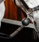 Uwiaz-stajenny-HORSEWRE-Quiet-Drop-Safety-Cross-Ties