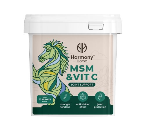 Kopia-msm_vitc.png