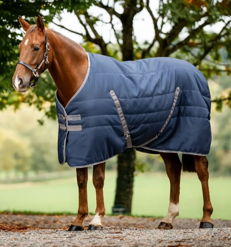 Derka stajenna HORSEWARE Rambo Stable 1000D 200g