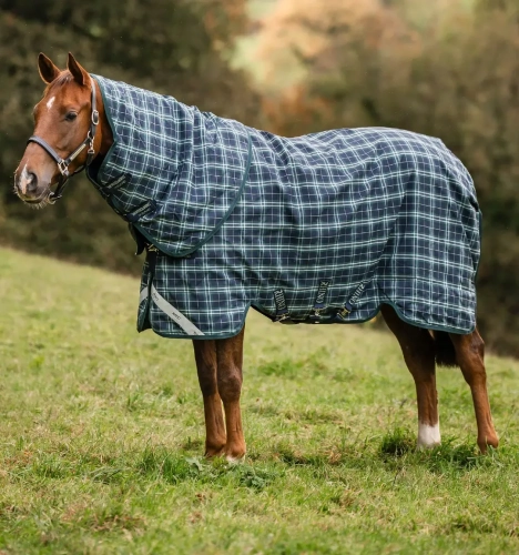 Derka padokowa z kapturem HORSEWARE Rhino Plus 1000D 0g hunter check-green