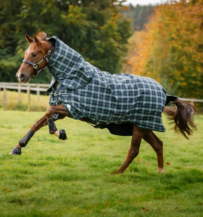Derka padokowa z kapturem HORSEWARE Rhino Plus 1000D 100g hunter check-green