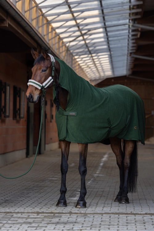 Derka-polarowa-z-kapturem-Covalliero-Collection-Cooler-AW2026-forest-green-24h-07