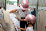 smart nova.PNG